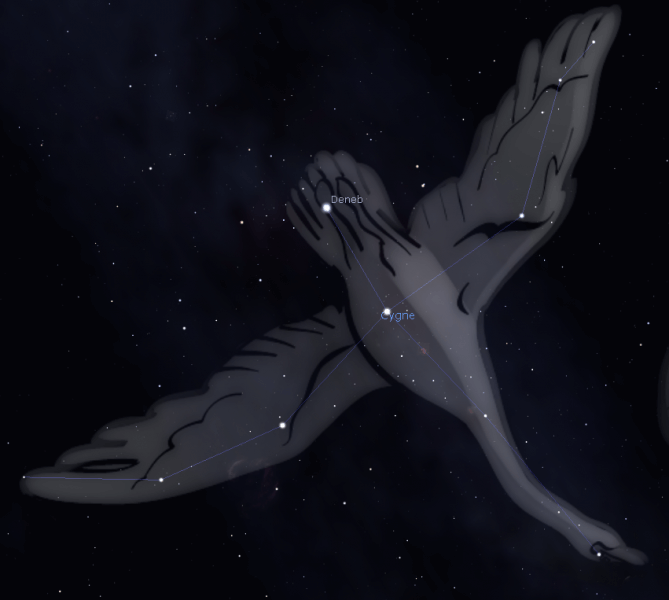 Constellation du Cygne