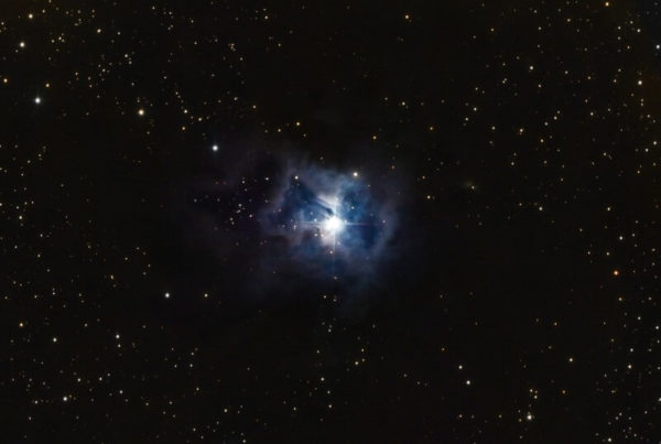 Nébuleuse de l'Iris (NGC 7023)