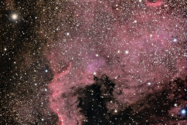 Nébuleuse North America (NGC 7000)