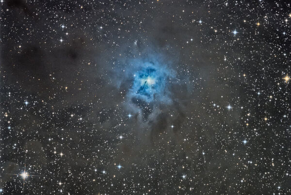 NGC 7023